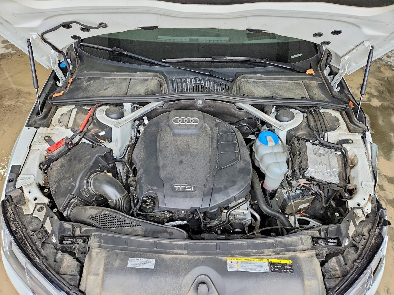 2019 Audi A4 VIN WAUFNAF42KN004162 photo 11