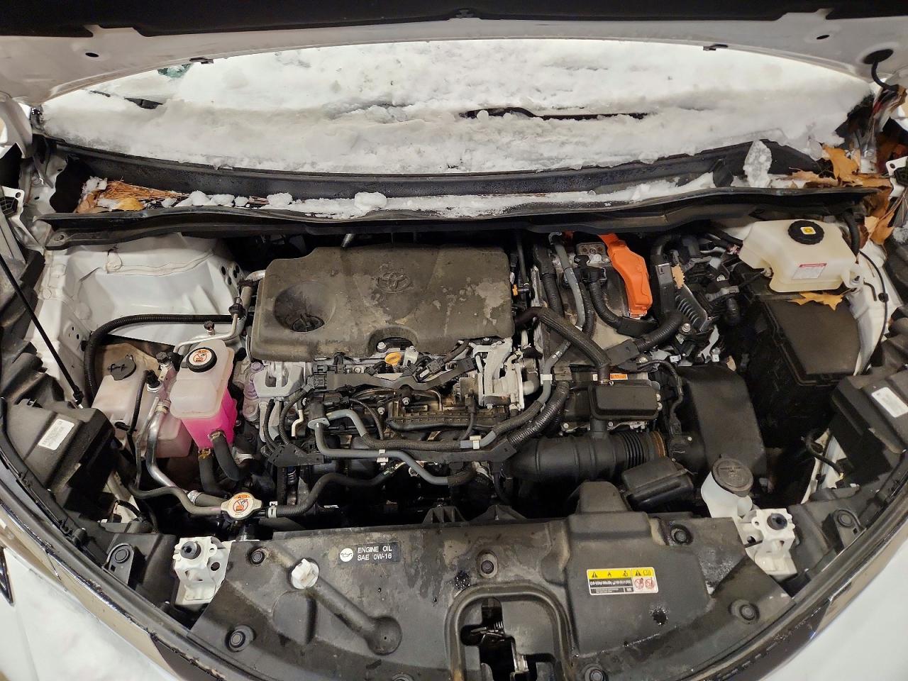 2021 Toyota All models VIN 5TDKSKFC0MS001166 photo 12