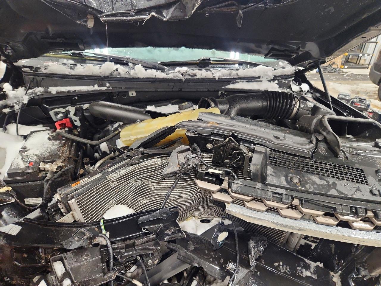 2020 Ford Expedition VIN 1FMJU1PTXLEA27952 photo 12