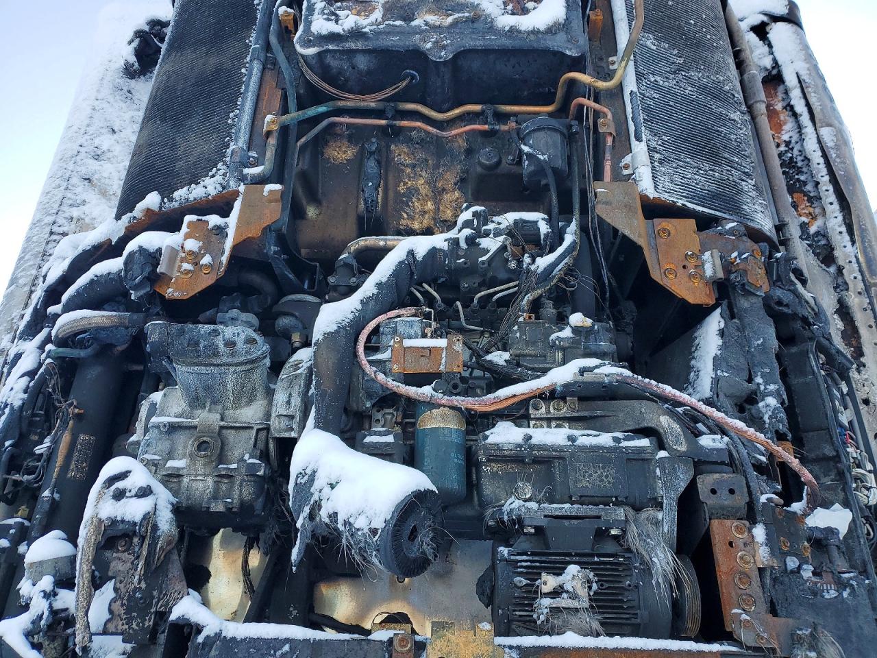 2020 UTILITY All models VIN 1UYVS2532L2832108 photo 7