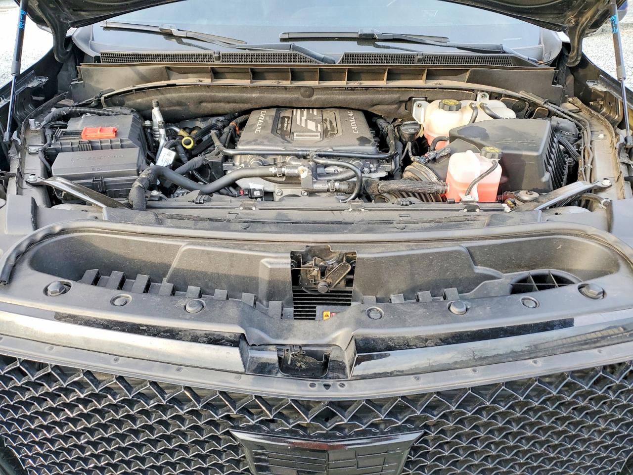 2023 Cadillac Escalade v VIN 1GYS4HK98PR249699 photo 11