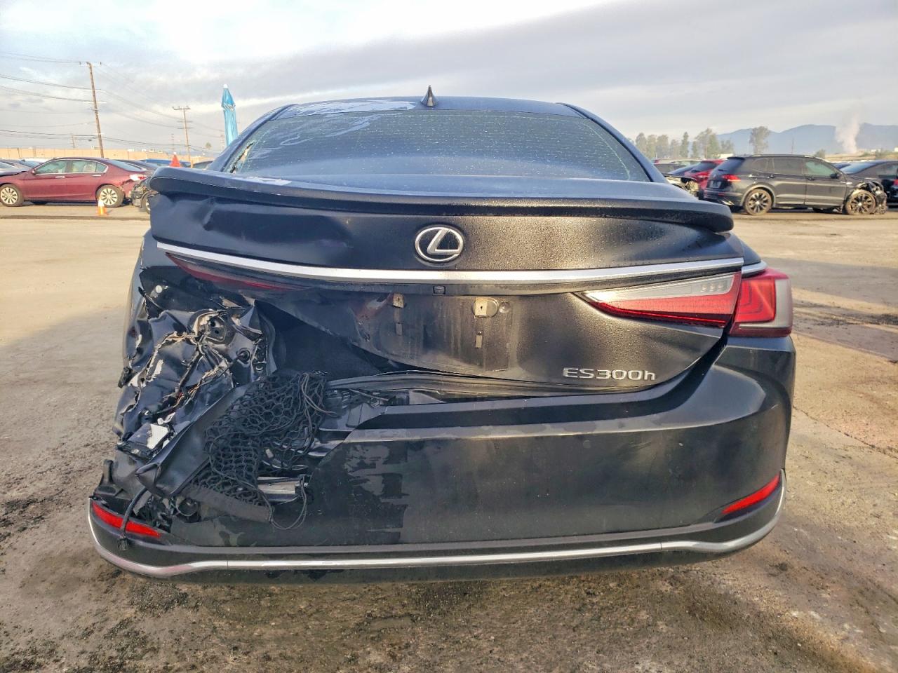 2024 LEXUS Es300 VIN 58ADA1C19RU050690 photo 6