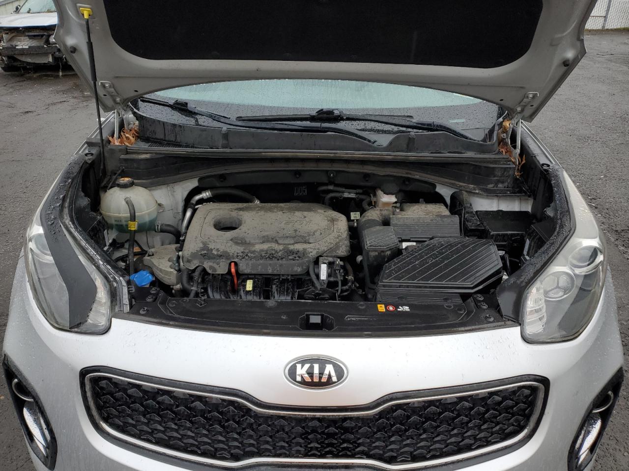 2017 KIA Sportage VIN KNDPN3AC8H7051243 photo 11