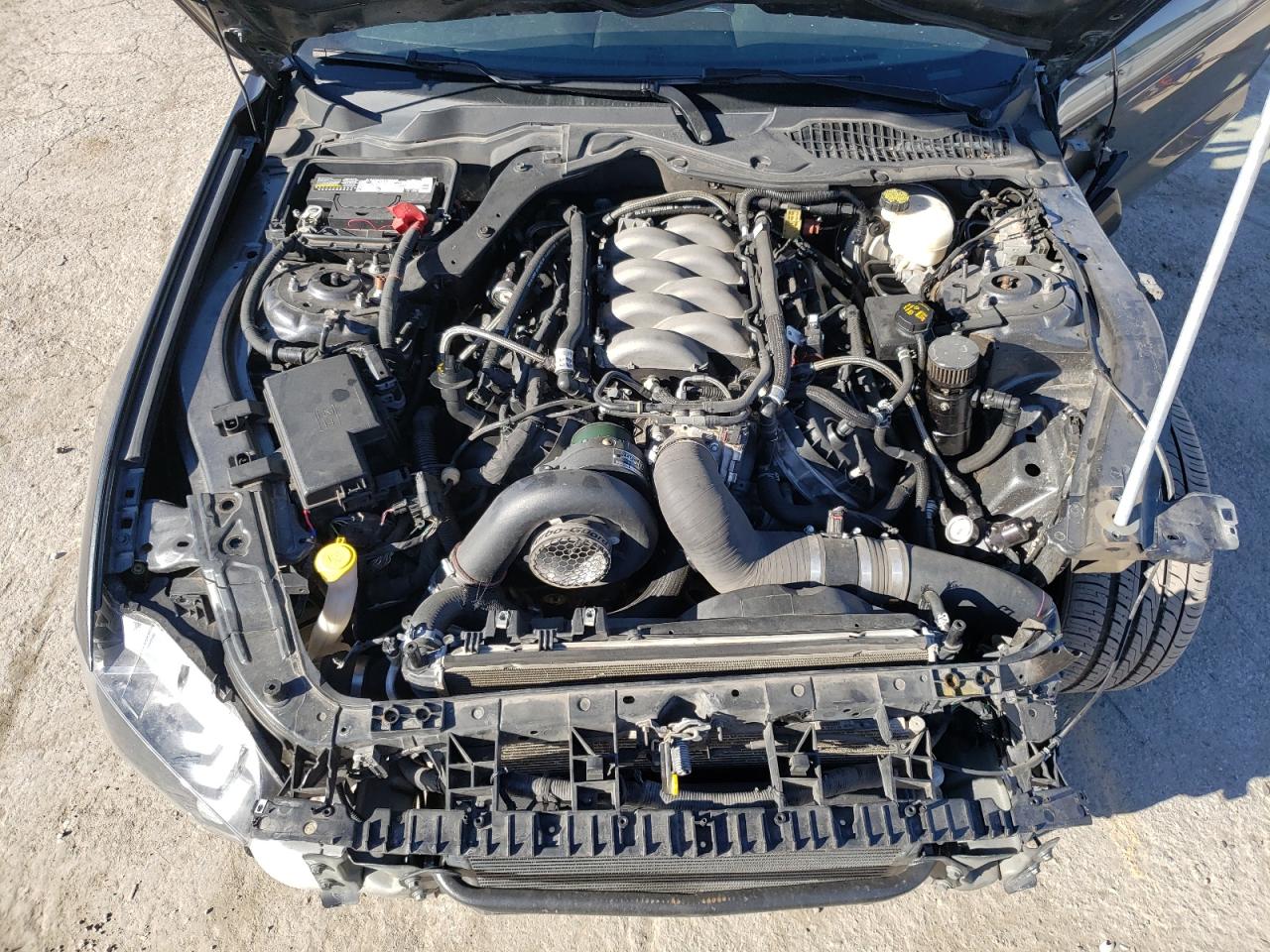 2018 FORD Mustang VIN 1FA6P8CF8J5104024 photo 11