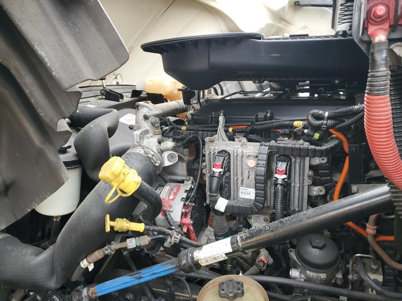 2020 International All models VIN 3HSDZTZRXLN130817 photo 7