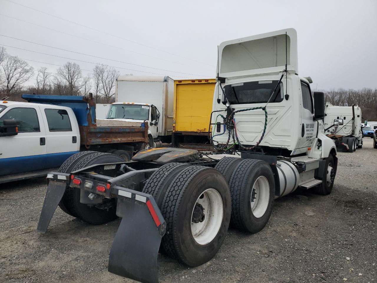 2020 International All models VIN 3HSDZTZRXLN130817 photo 4