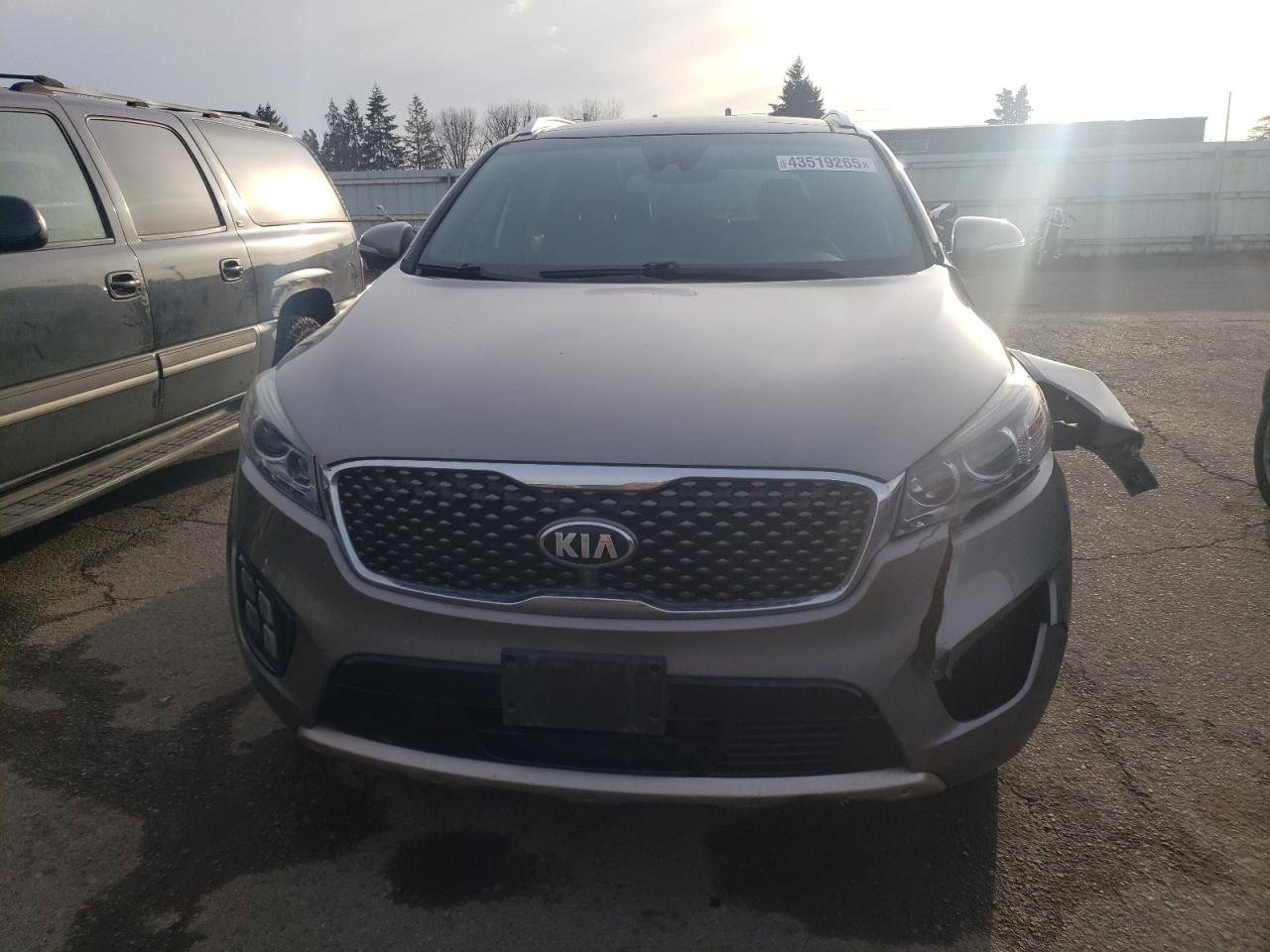 2016 Sorento VIN 5XYPKDA14GG110593 photo 5