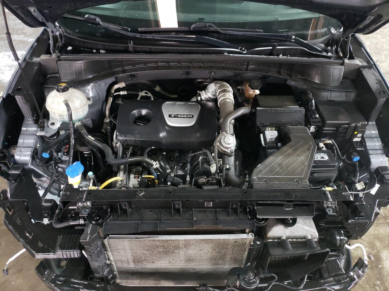 2017 Hyundai Tucson VIN KM8J33A24HU391313 photo 12