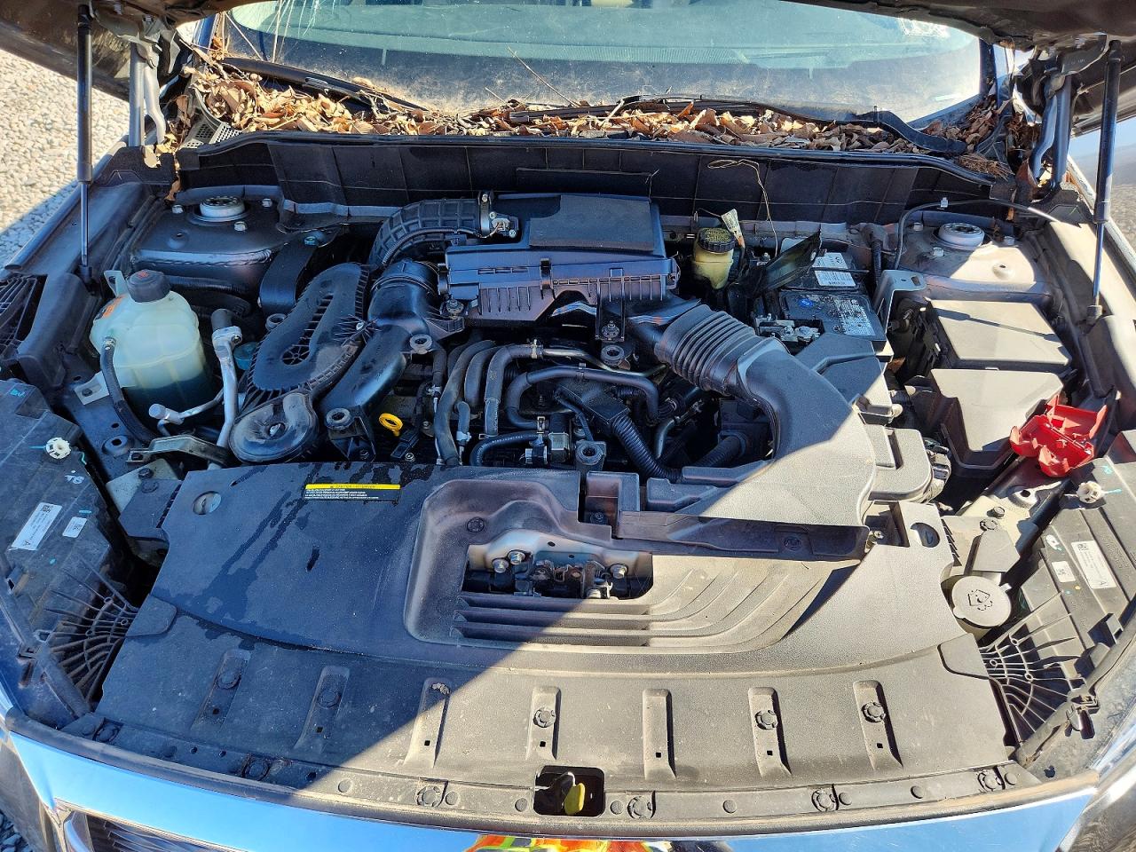2019 Infiniti Qx50 VIN 3PCAJ5M19KF125679 photo 12