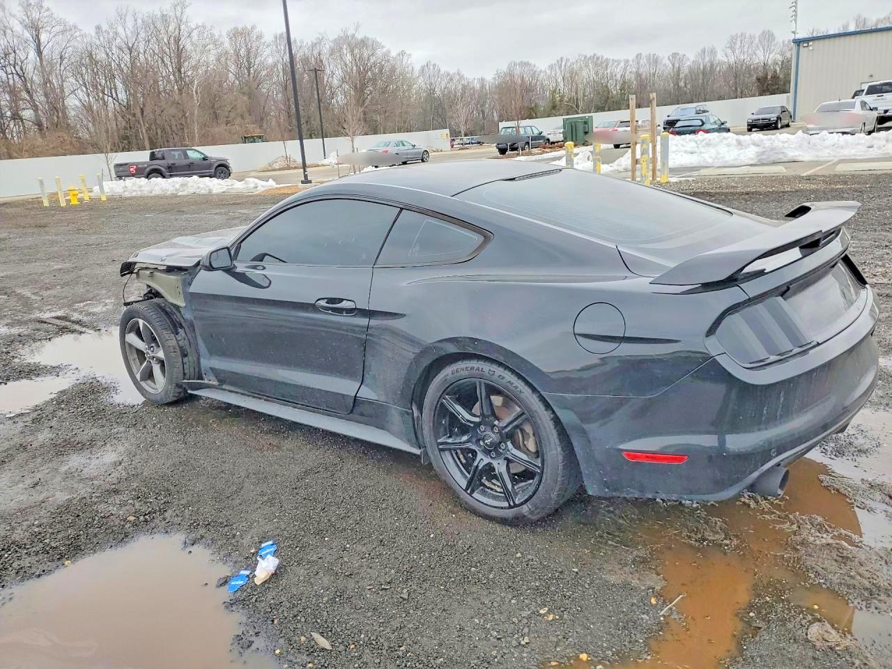 2016 Ford All models VIN 1FA6P8AM1G5259217 photo 2