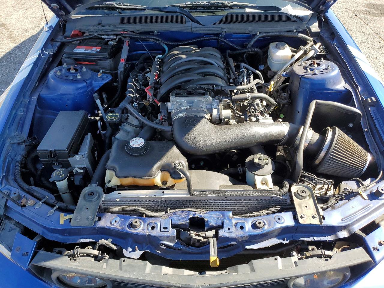 2006 Ford Mustang VIN 1ZVHT82H965157501 photo 11