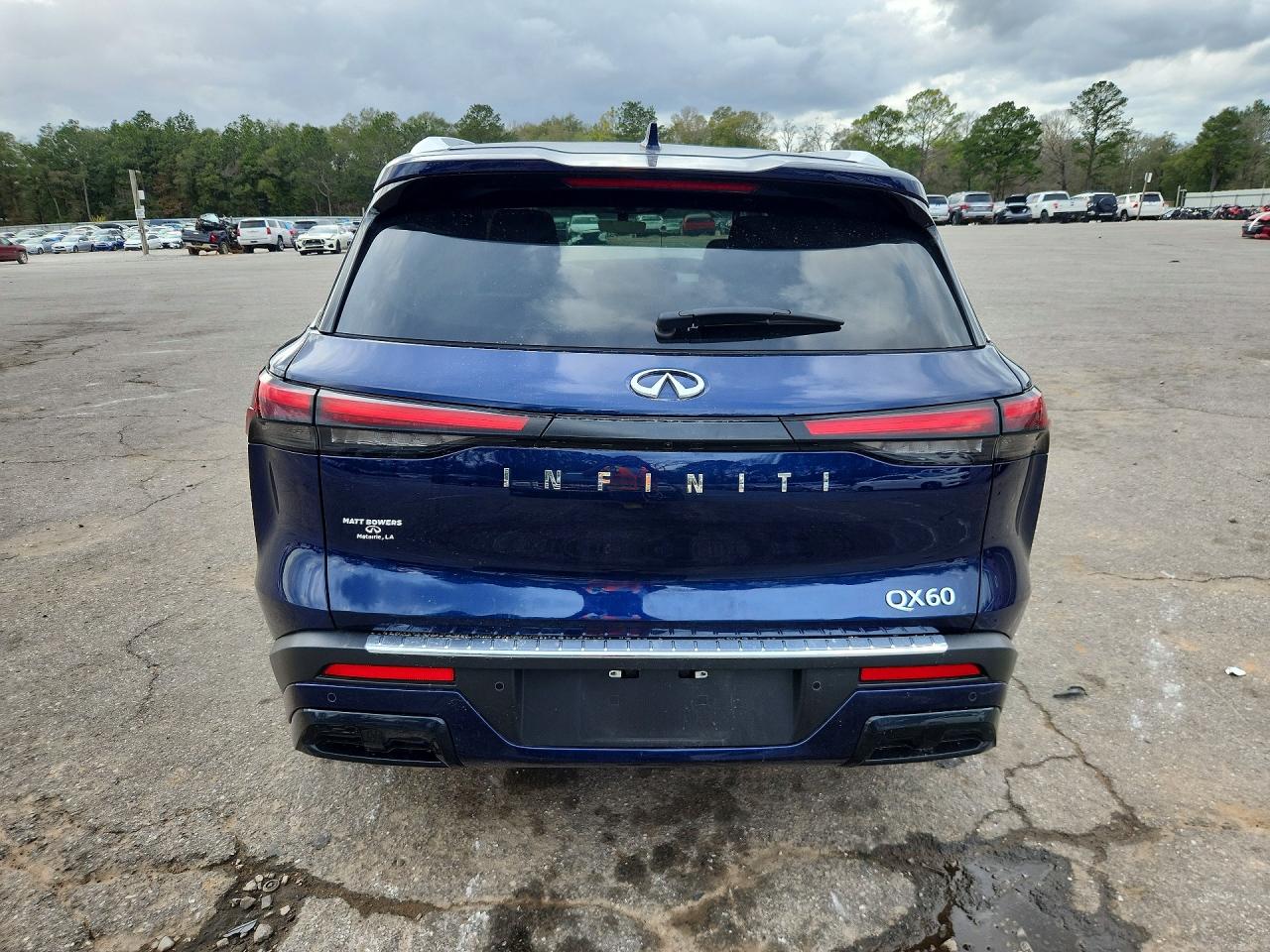 2025 Infiniti Qx60 VIN 5N1AL1FR1SC343114 photo 6