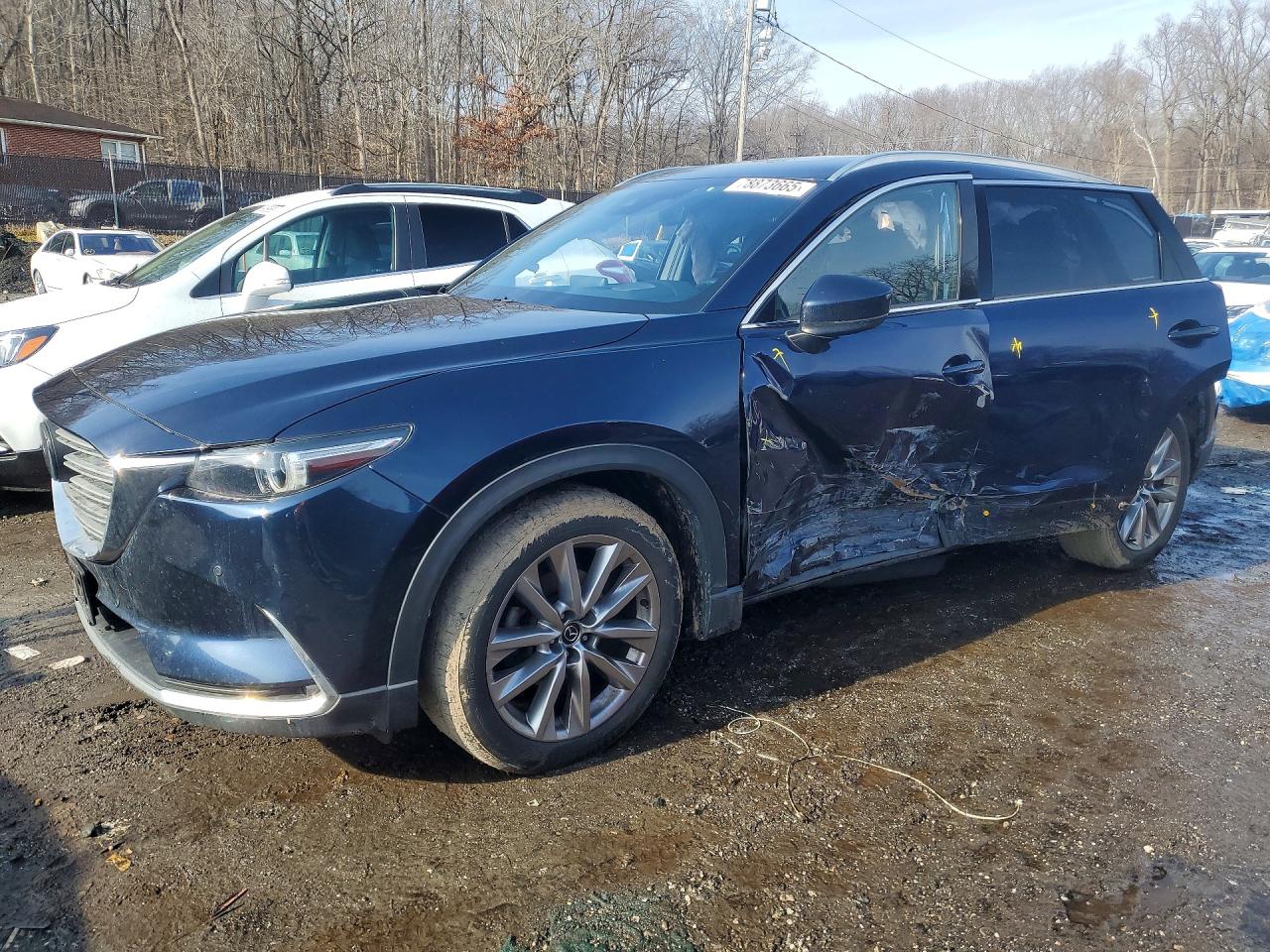 2020 Mazda Cx-9 VIN JM3TCBDY0L0413094 photo 1