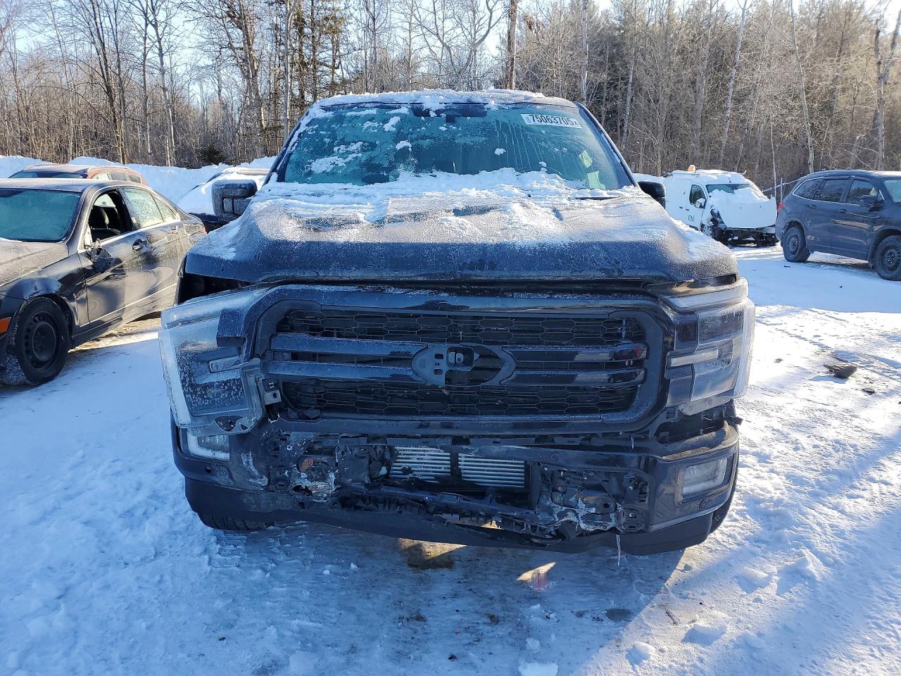 2024 Ford F150 laria VIN 1FTFW5LD8RFA65029 photo 5