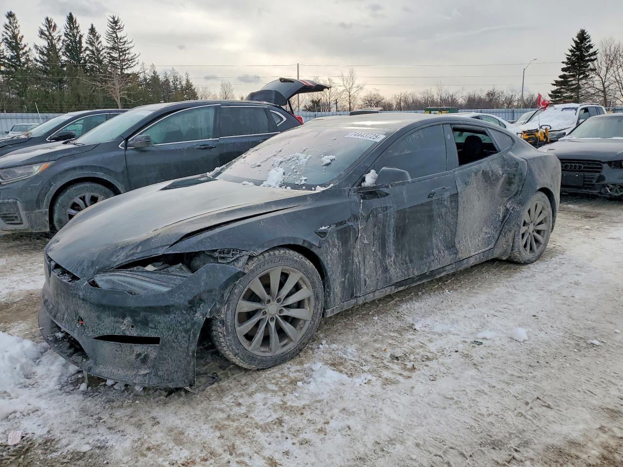 2023 Tesla Model s VIN 5YJSA1E51PF501202 photo 1