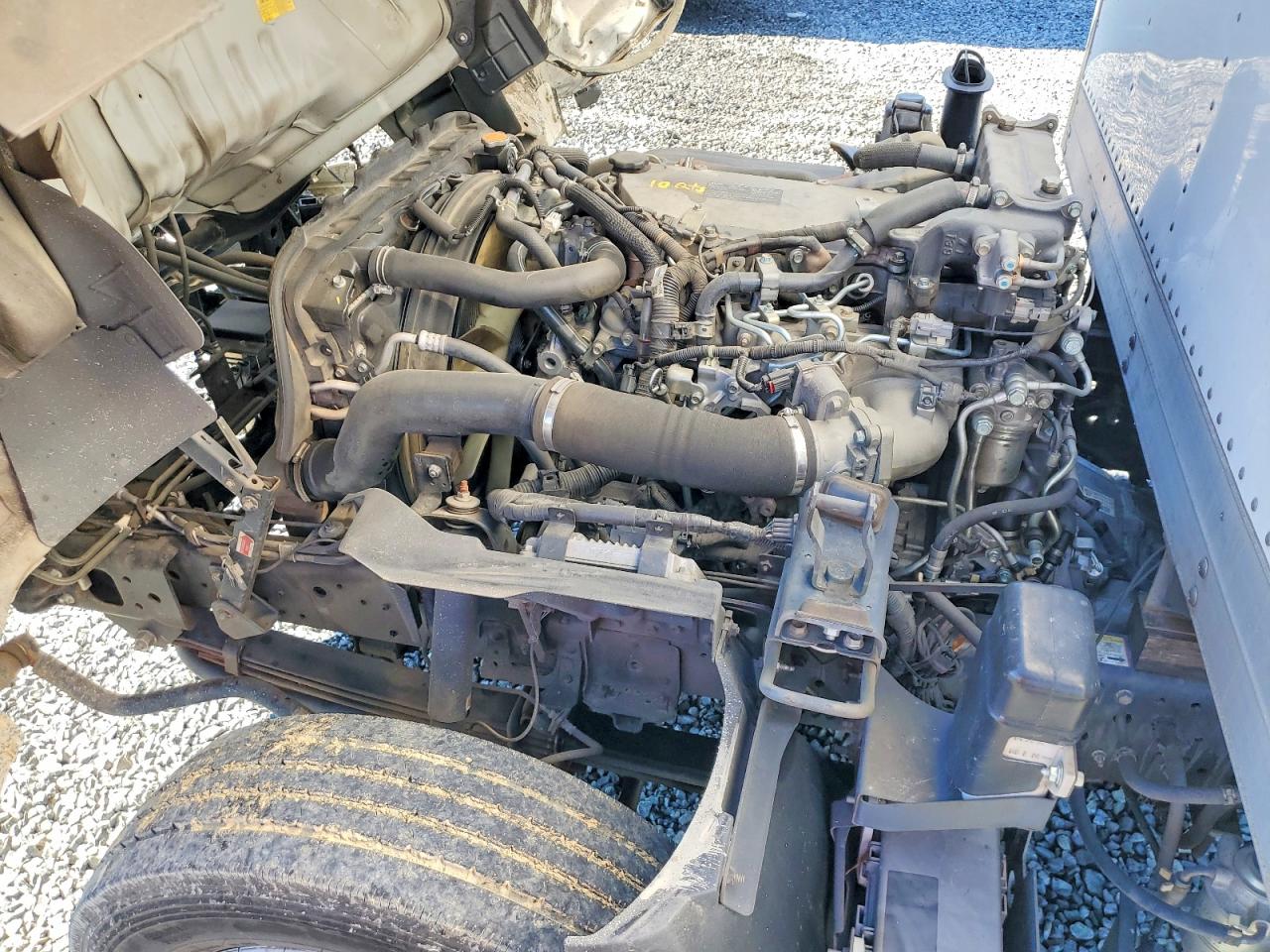 2021 All models VIN JALE5W166M7300893 photo 12
