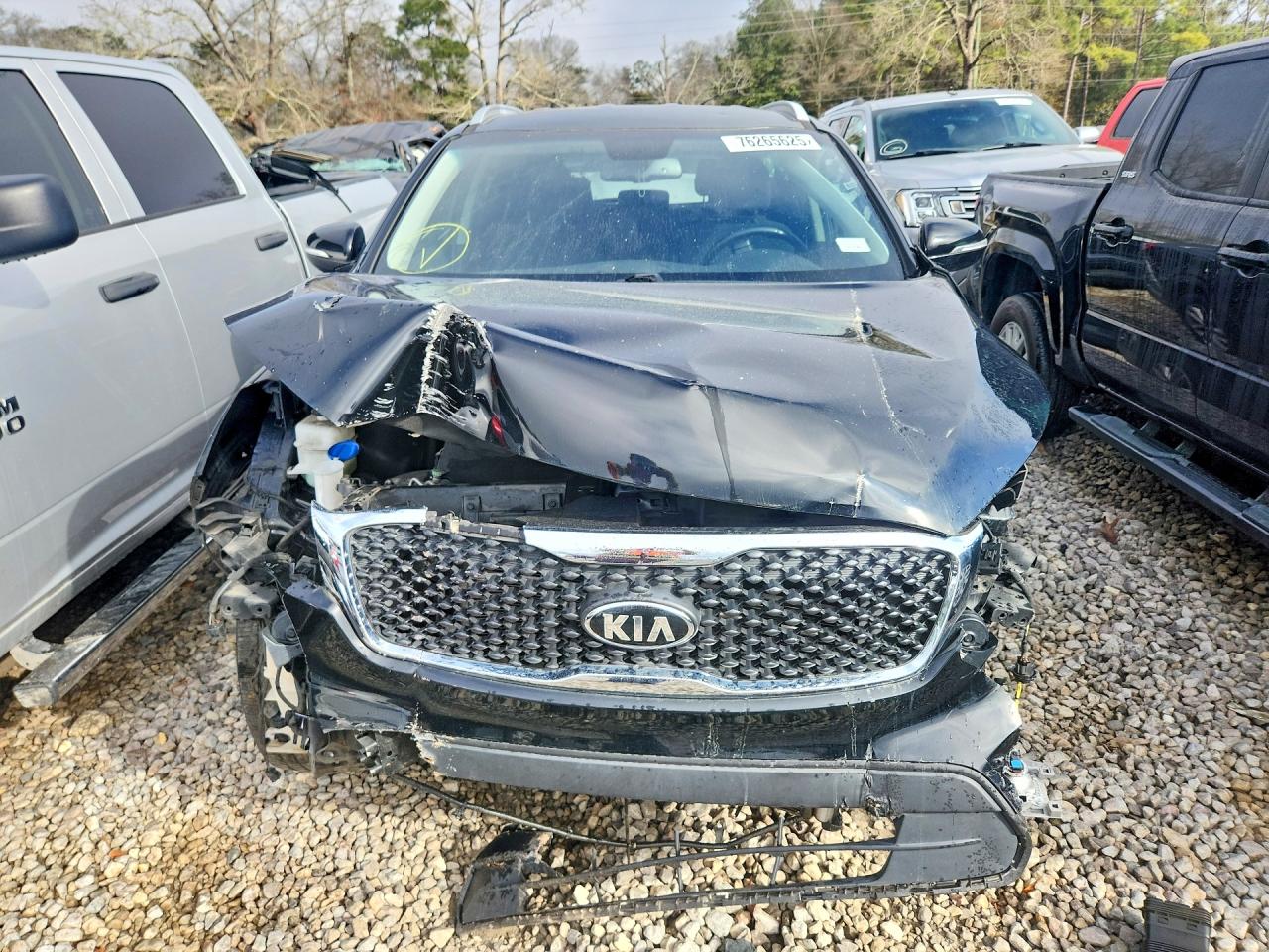 2018 Kia Sorento VIN 5XYPG4A38JG357531 photo 5