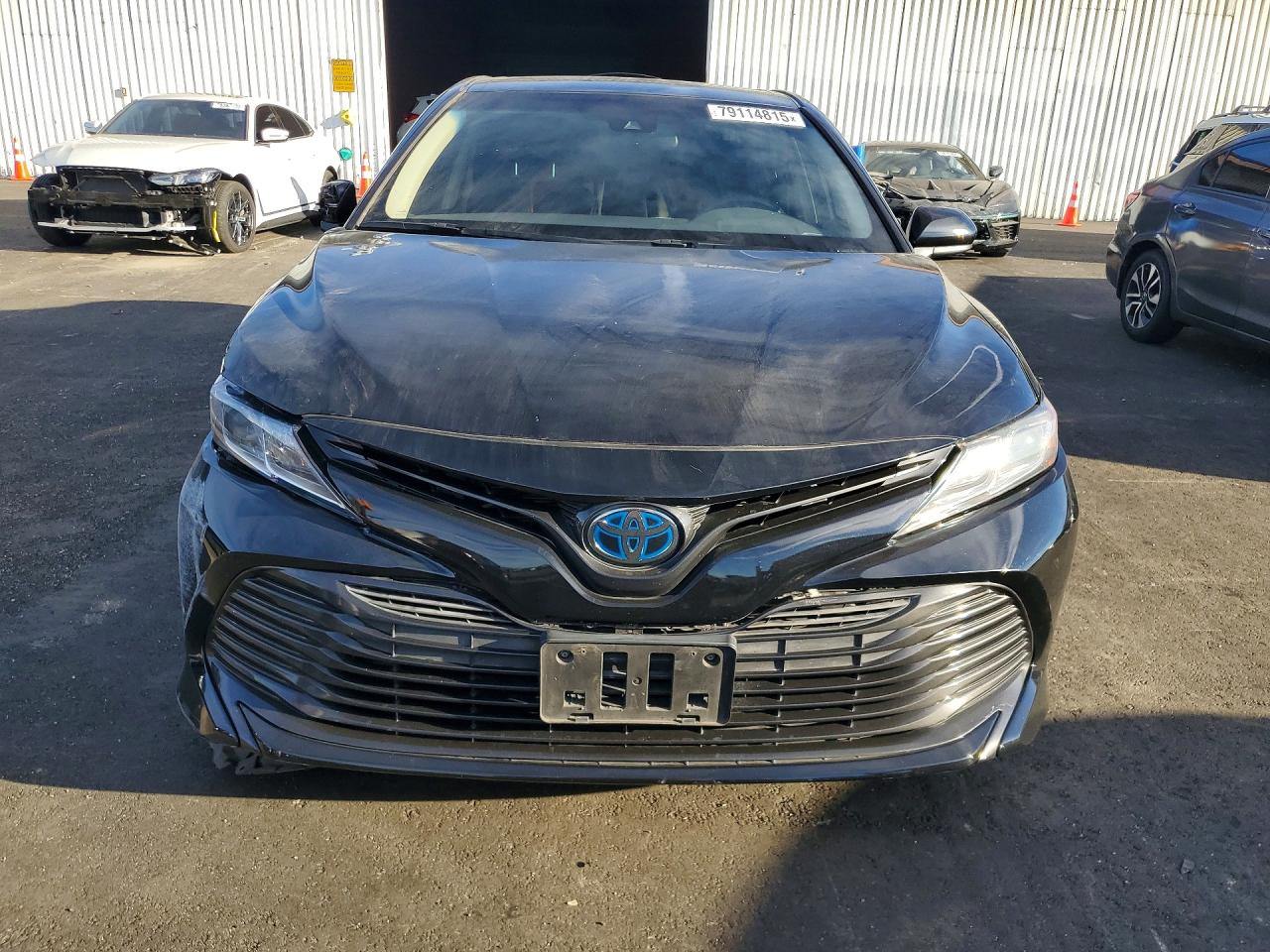 2019 Toyota Camry sola VIN 4T1B31HK1KU515267 photo 5