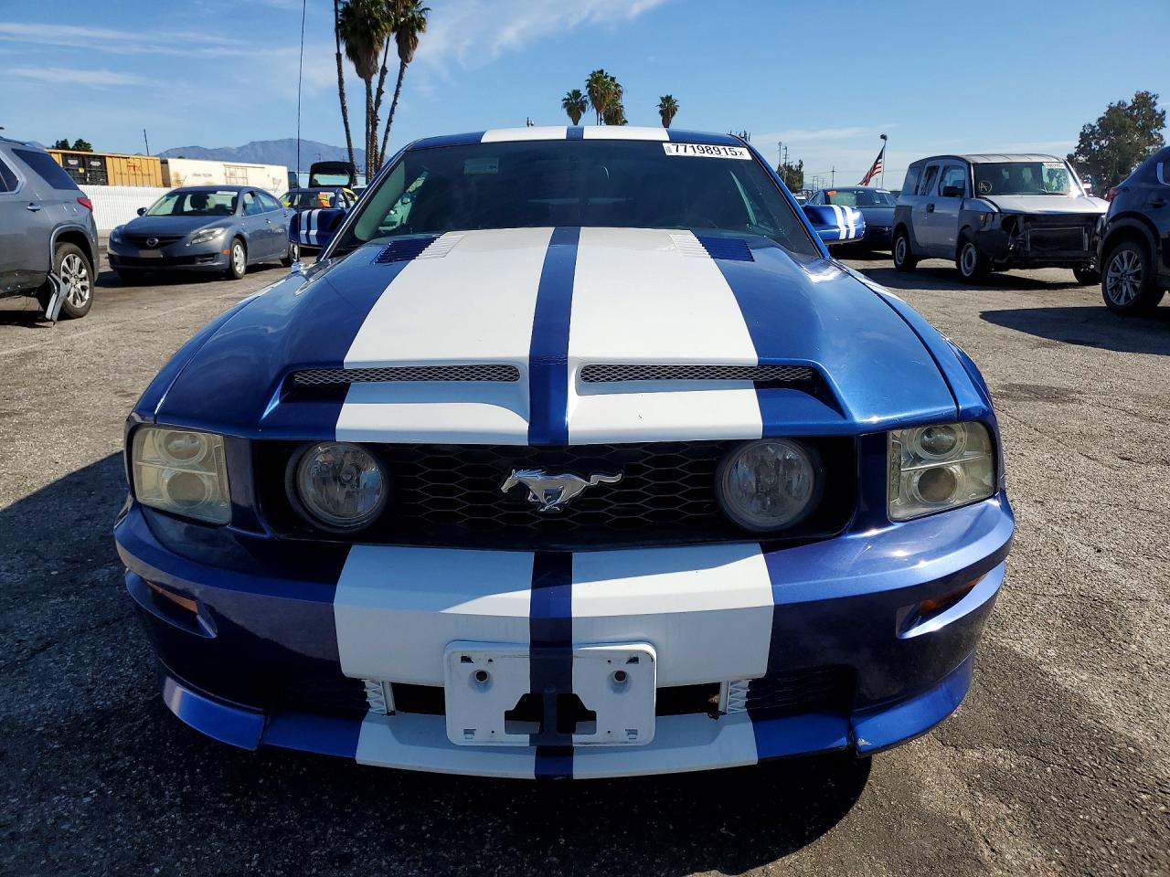2006 Ford Mustang VIN 1ZVHT82H965157501 photo 5