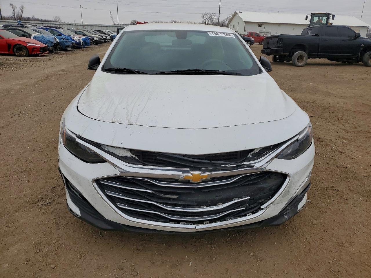 2020 Chev Malibu VIN 1G1ZB5ST8LF087503 photo 5