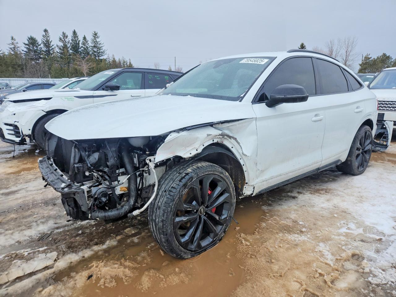 2023 Audi Sq5 sportb VIN WA134AFY9P2147642 photo 1