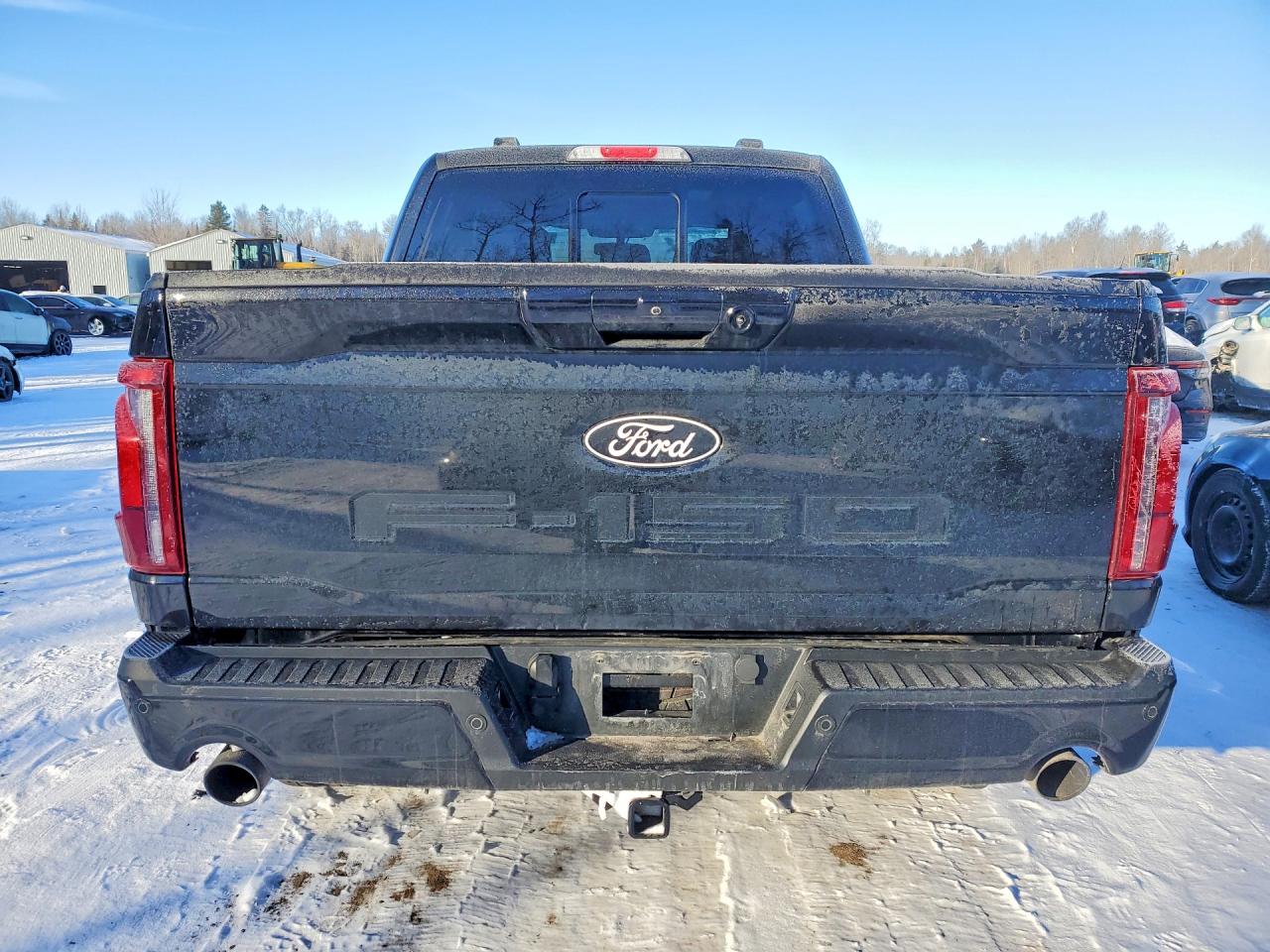2024 Ford F150 laria VIN 1FTFW5LD8RFA65029 photo 6