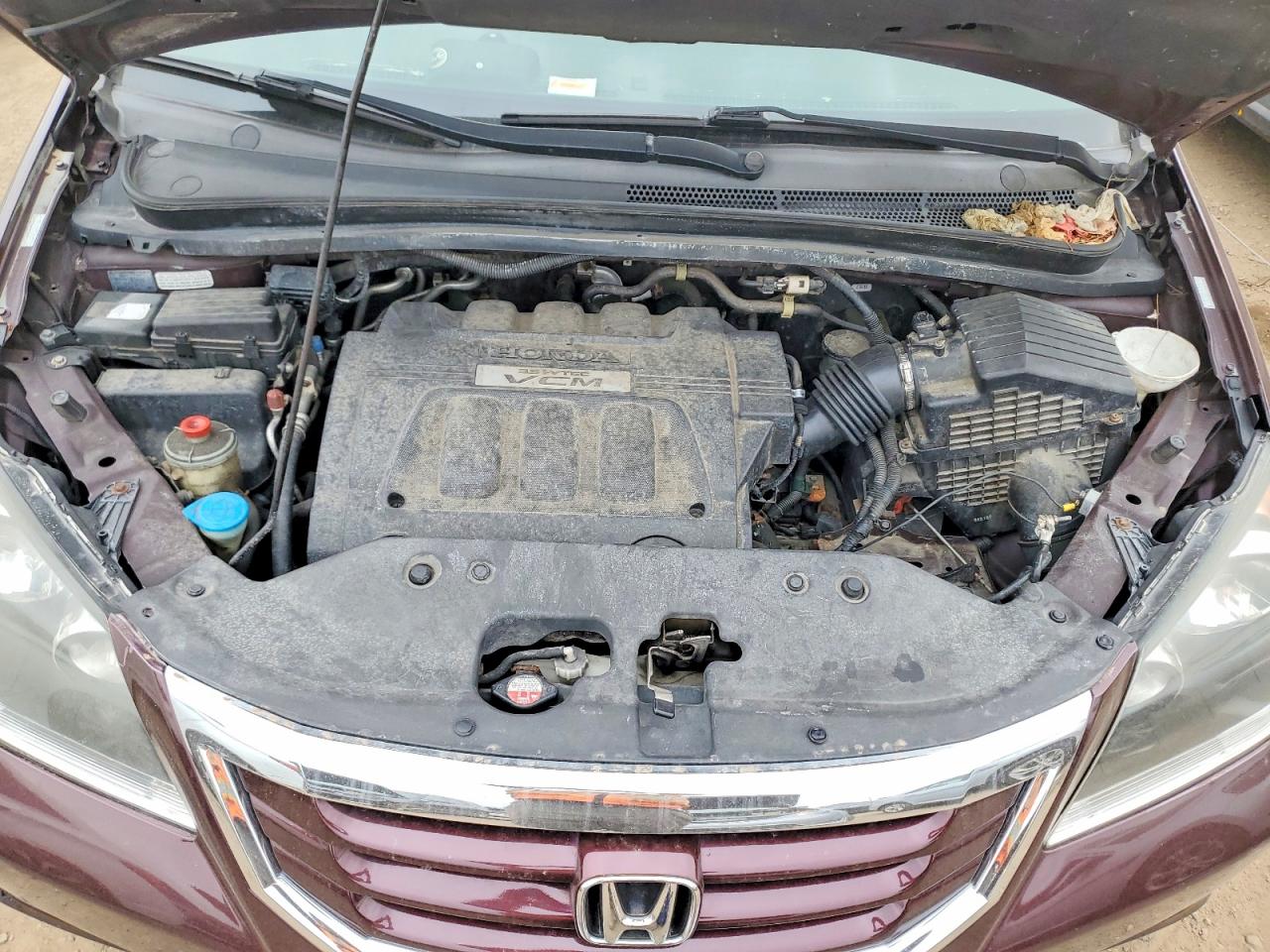 2009 HONDA All models VIN 5FNRL38649B009775 photo 12
