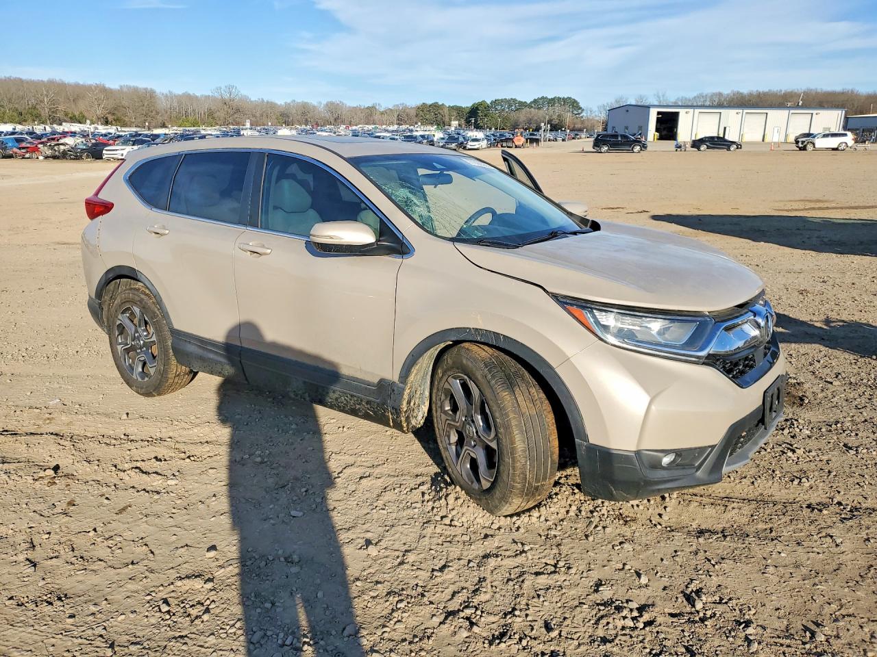 2019 Honda Crv VIN 5J6RW1H58KL001064 photo 4