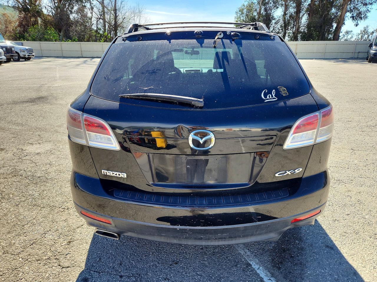 2007 Mazda Cx-9 VIN JM3TB28C770100731 photo 6
