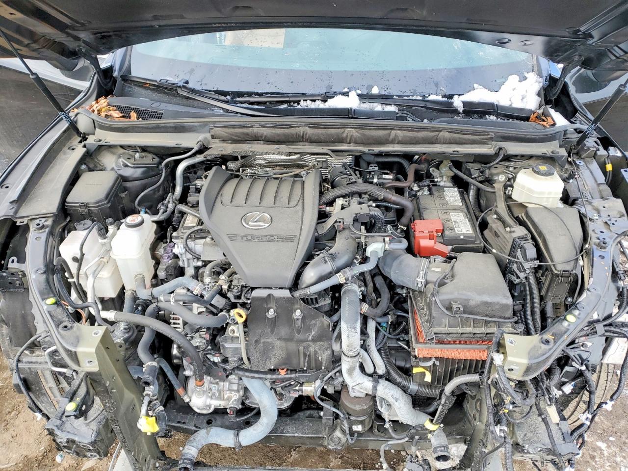 2023 LEXUS Rx350 VIN 2T2BAMCA5PC019415 photo 12