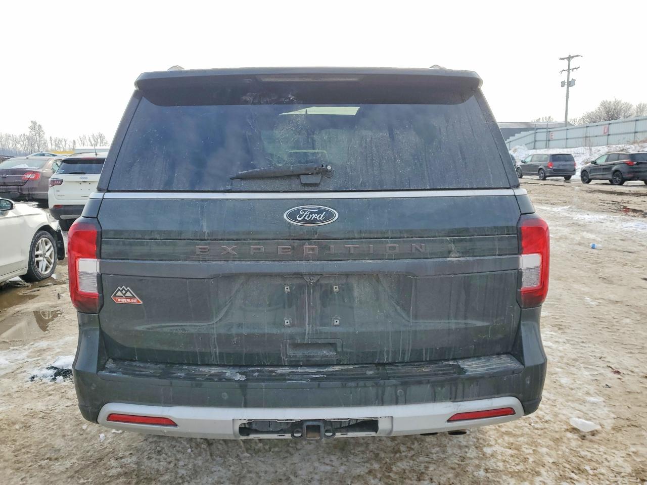 2022 Ford Expedition VIN 1FMJU1RT3NEA24150 photo 6