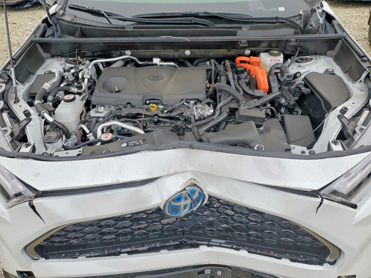 2024 TOYOTA Rav4 VIN JTMEB3FV6RD195757 photo 12
