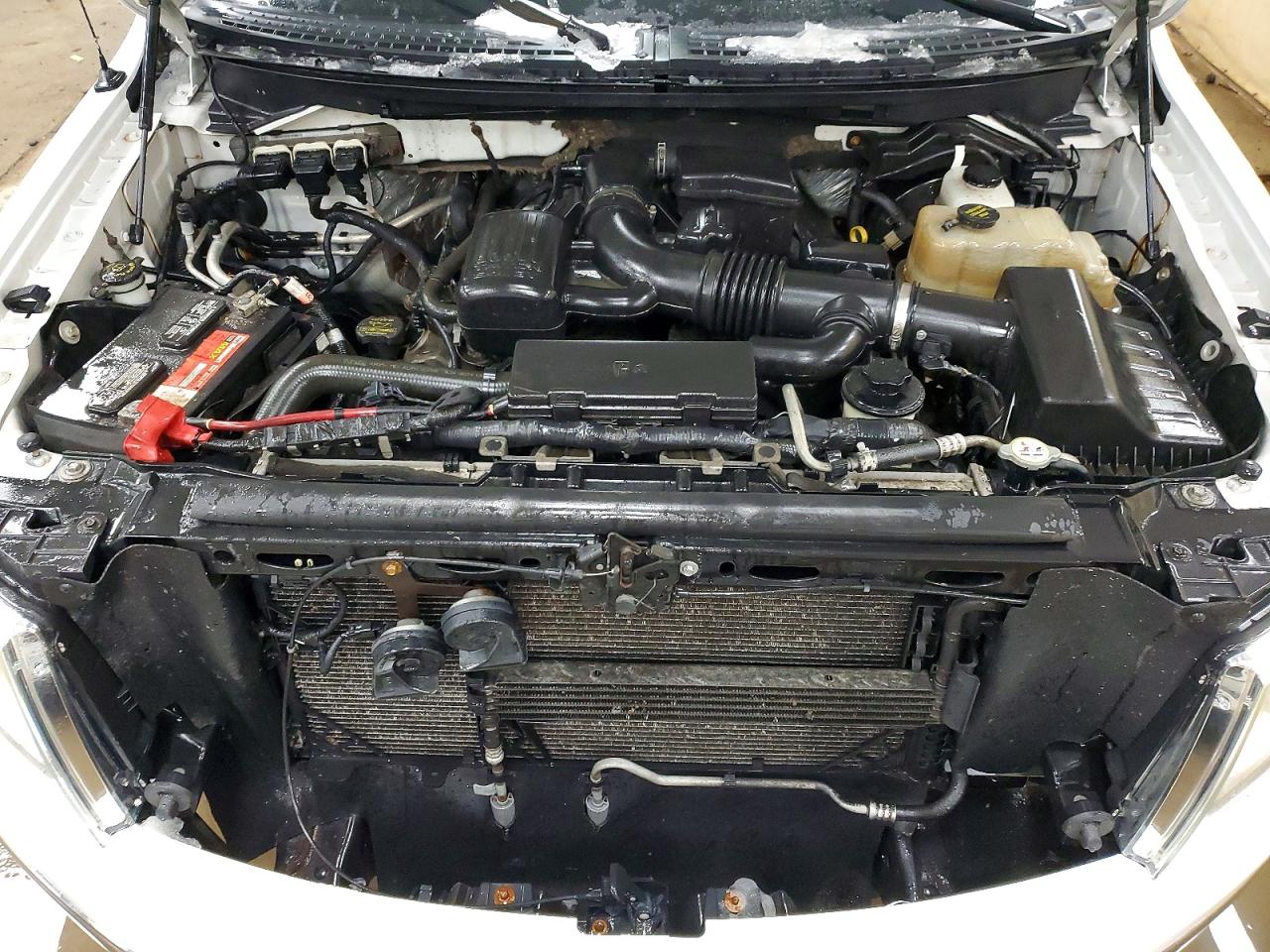 2010 Ford F150 VIN 1FTFW1EV3AFA40980 photo 11