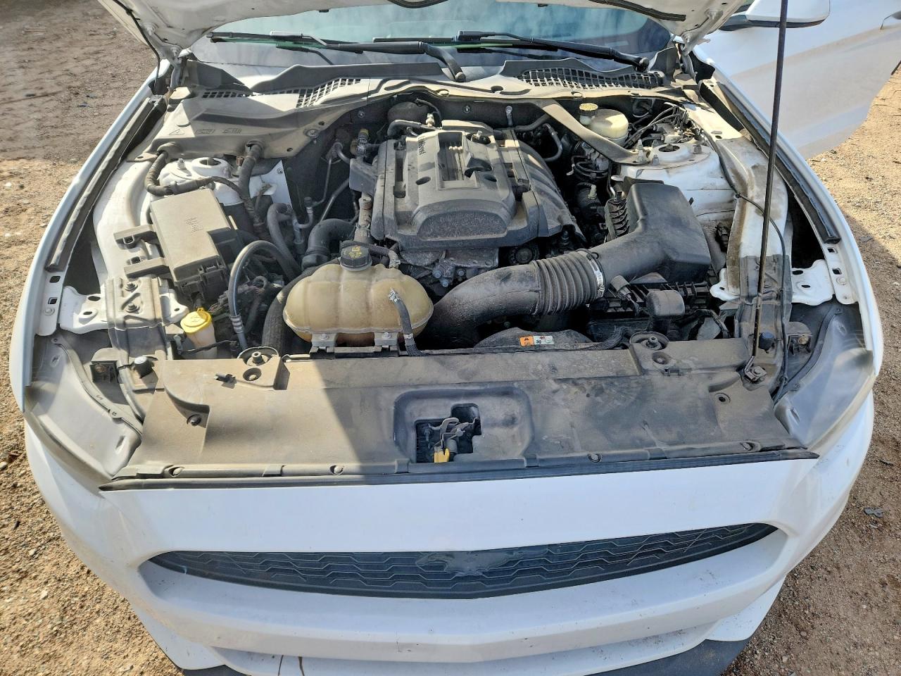 2016 Ford All models VIN 1FA6P8TH6G5204617 photo 11