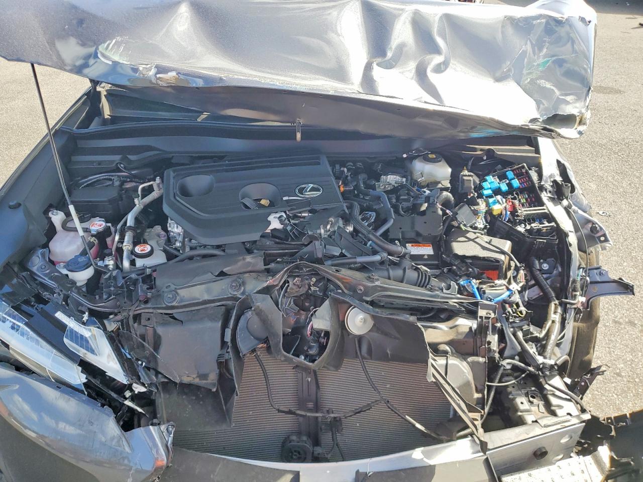 2025 Lexus Ux 300h ba VIN JTHYBJAHXS2011312 photo 12
