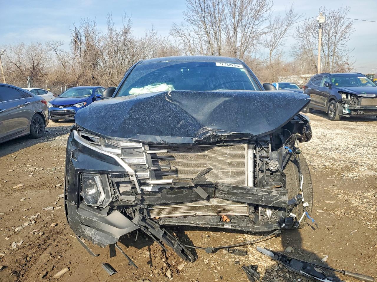 2024 Hyundai Santa cruz VIN 5NTJBDDE1RH119219 photo 5
