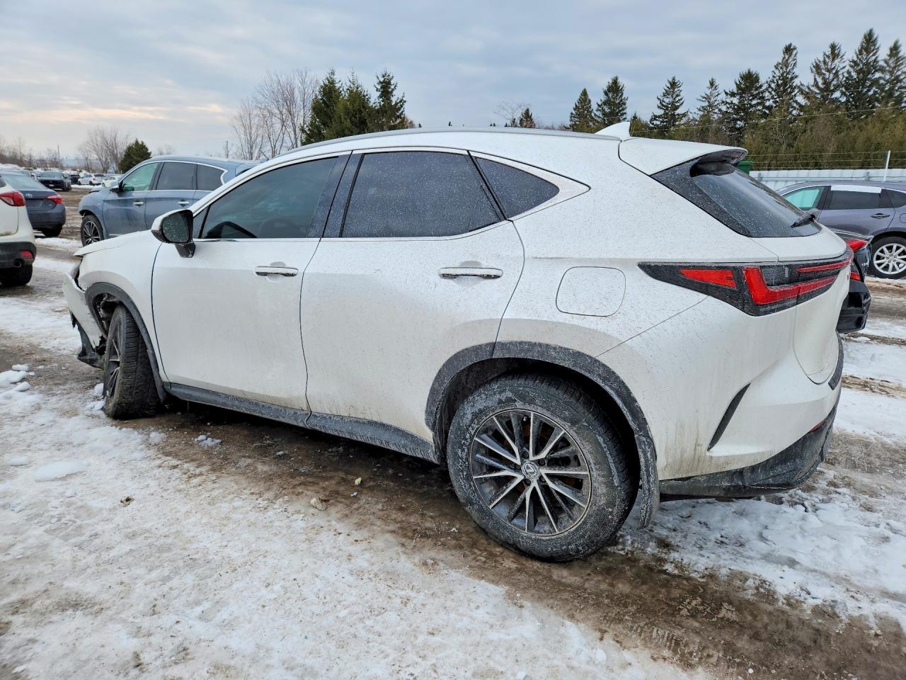 2024 Lexus Nx 350 VIN 2T2GKCEZXRC025200 photo 2