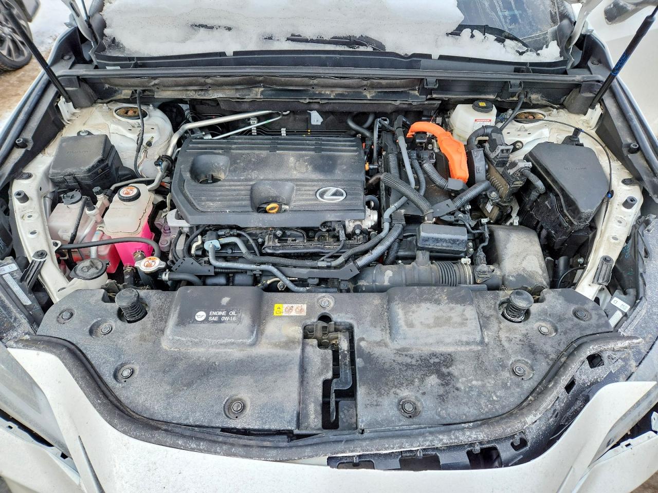 2024 Lexus Nx 350 VIN 2T2GKCEZXRC025200 photo 12