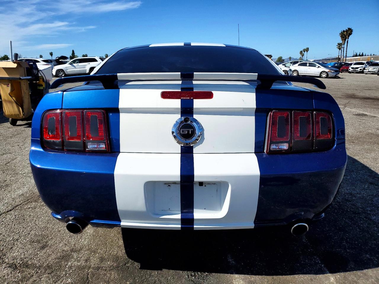 2006 Ford Mustang VIN 1ZVHT82H965157501 photo 6