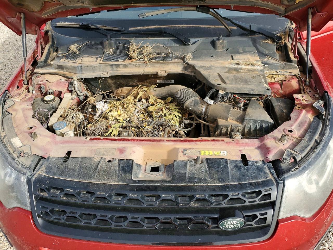 2017 Landau Discovery VIN SALCP2BG2HH655197 photo 12