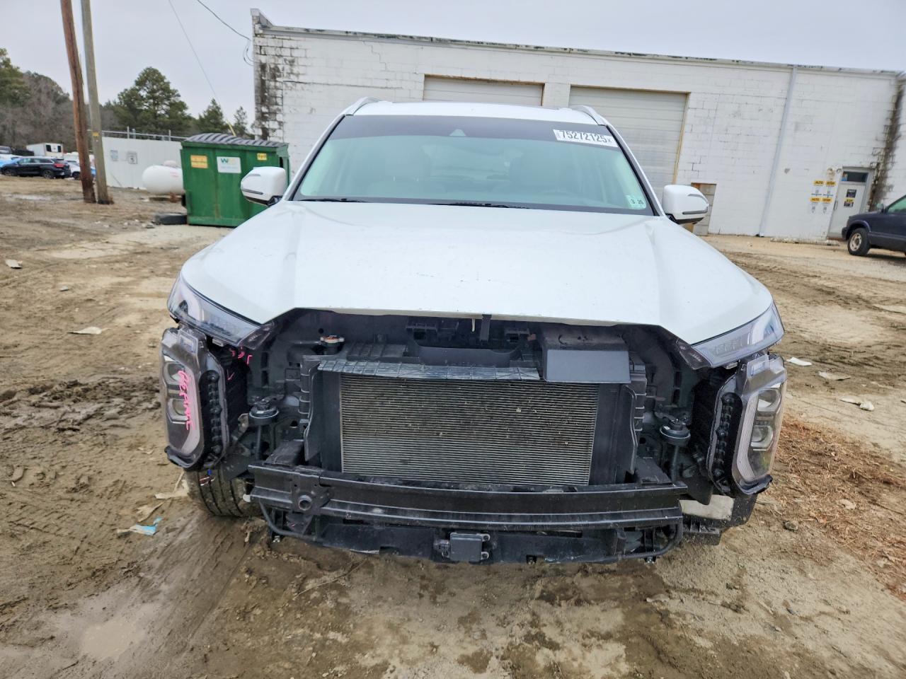 2021 Hyundai Palisade VIN KM8R7DHE5MU266781 photo 5