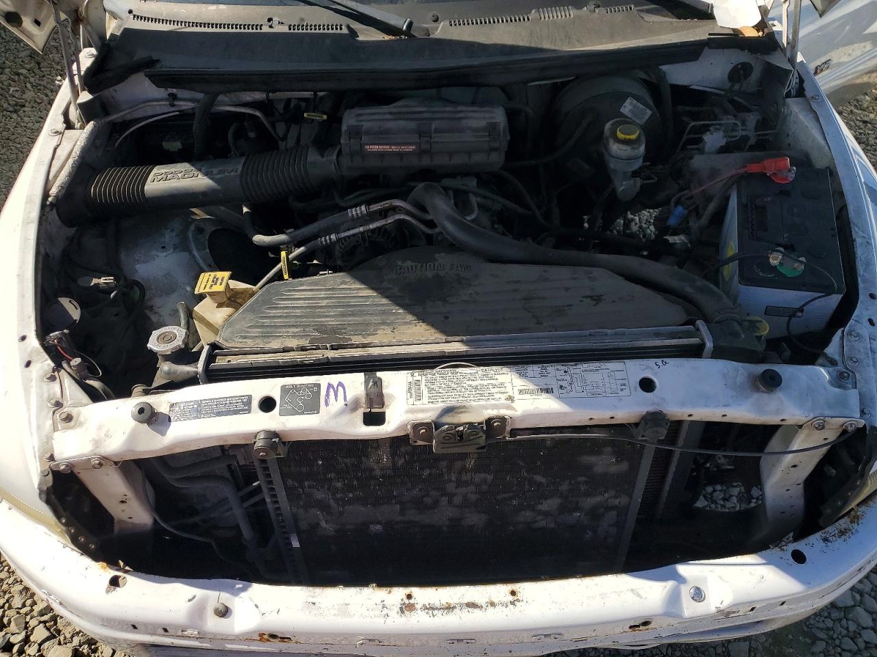 1999 DODGE All models VIN 1B7HC13Y2XJ597500 photo 12