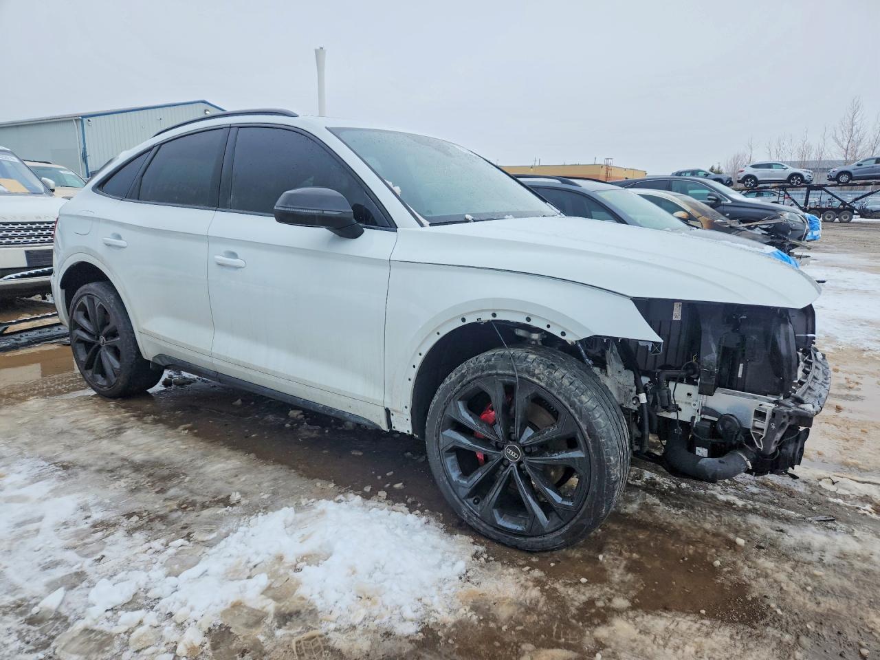 2023 Audi Sq5 sportb VIN WA134AFY9P2147642 photo 4