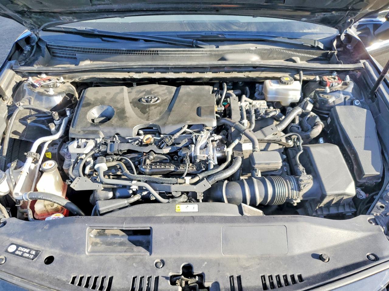 2019 Toyota Camry sola VIN 4T1B31HK1KU515267 photo 11
