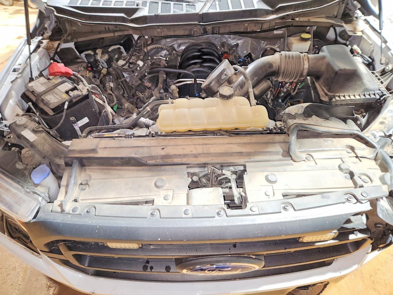 2021 Ford F-150 VIN 1FTFW1E50MFB02582 photo 11
