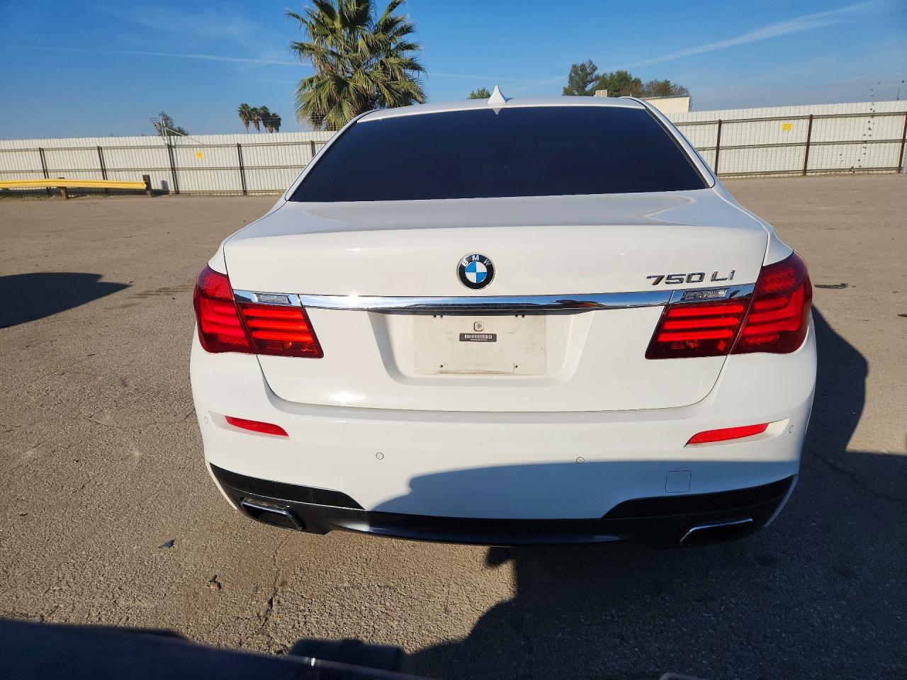 2015 BMW 7 series VIN WBAYE8C59FD781903 photo 6