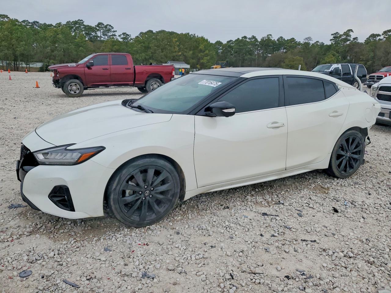 2021 Nissan Maxima VIN 1N4AA6EV4MC515392 photo 1