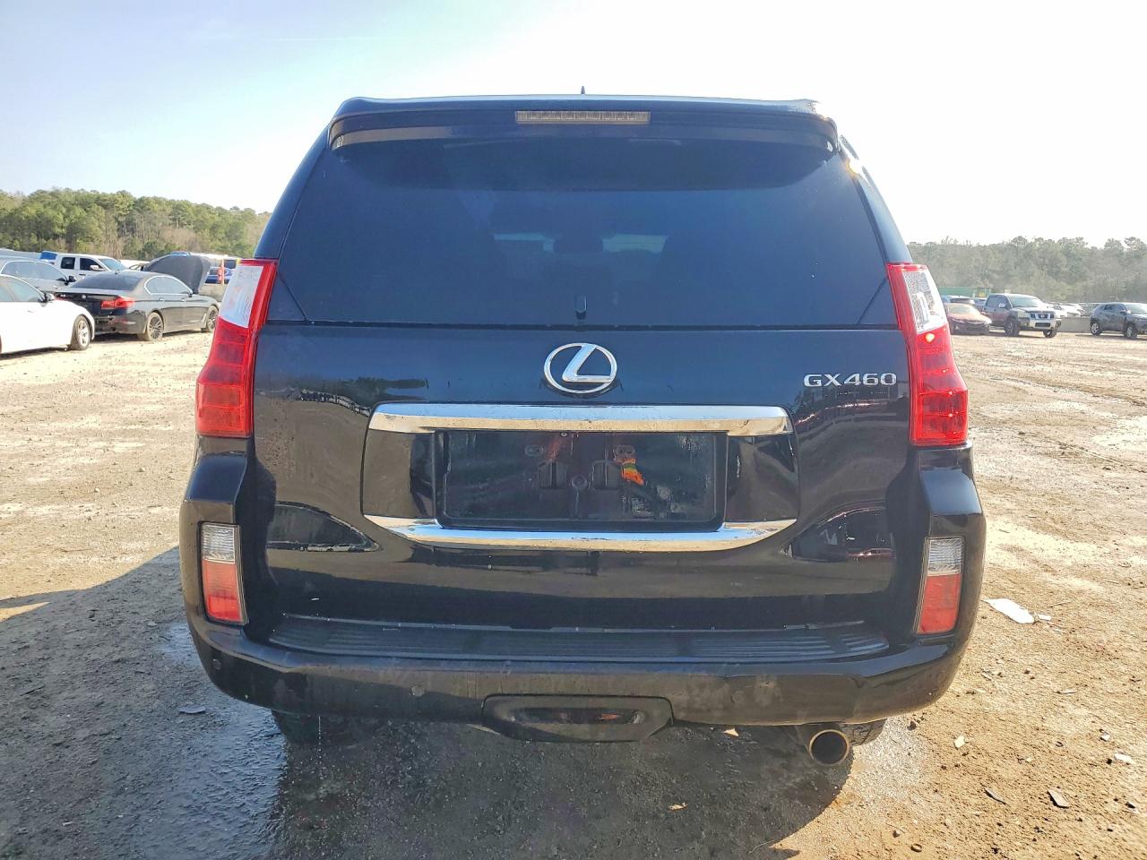 2013 Lexus Gx 460 VIN JTJJM7FX0D5051686 photo 6