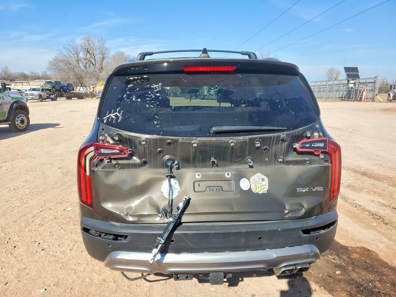 2020 Kia Telluride VIN 5XYP54HC2LG071544 photo 6