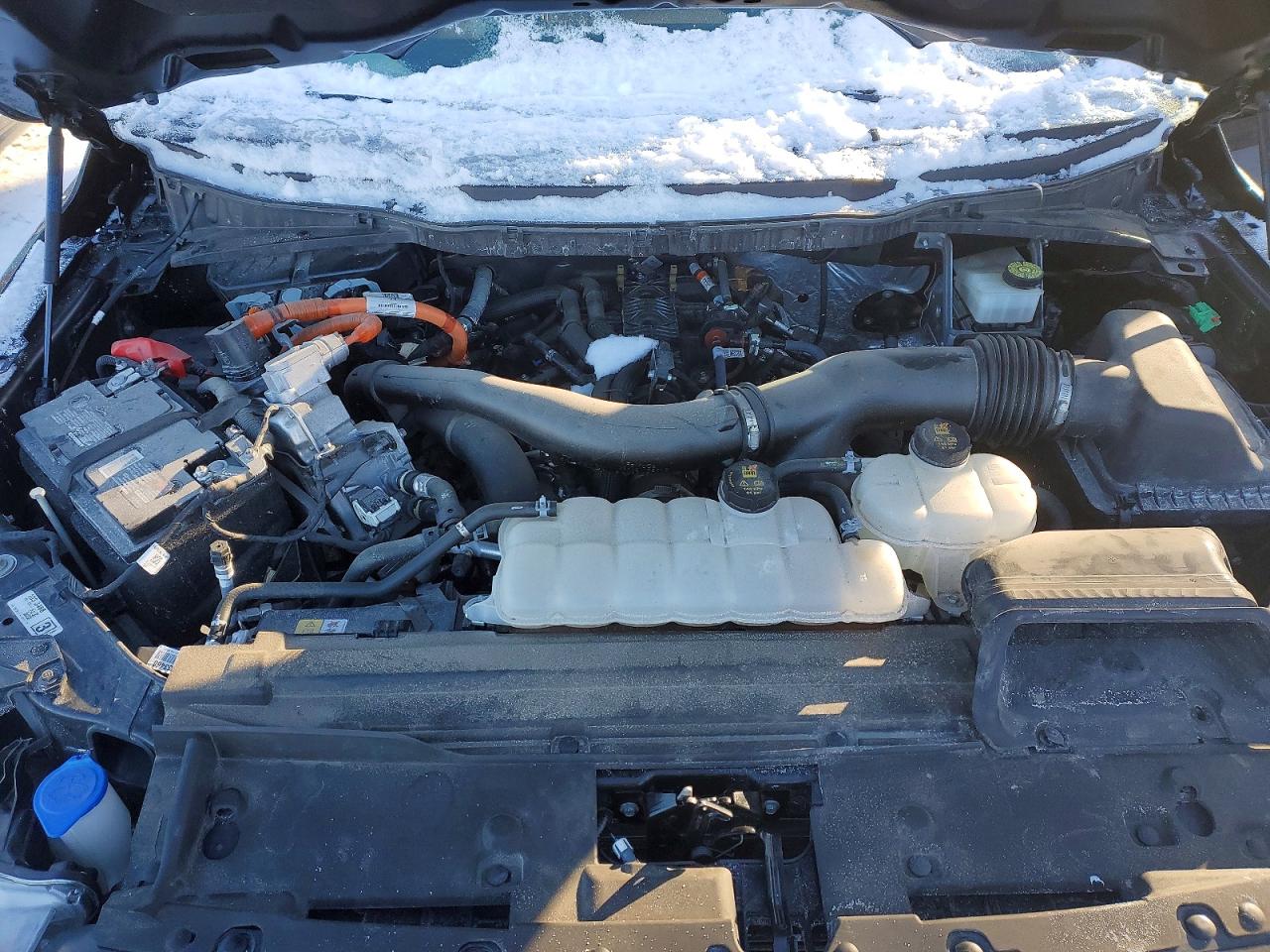 2024 Ford F150 laria VIN 1FTFW5LD8RFA65029 photo 11